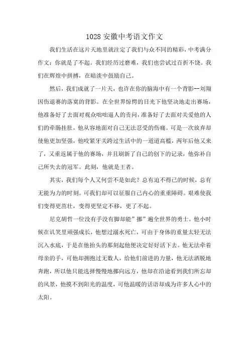 1028安徽中考语文作文