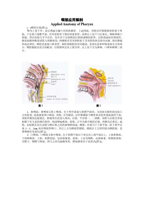 咽部应用解剖