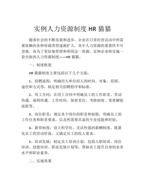 实例人力资源制度HR猫猫