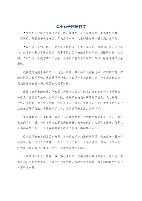 踢小石子回家作文