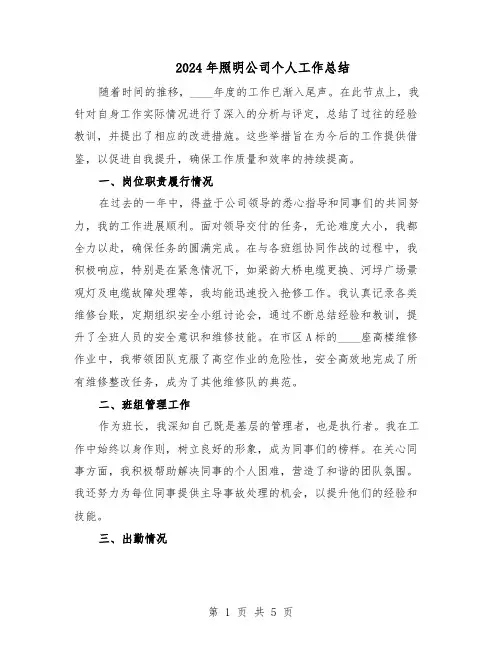 2024年照明公司个人工作总结（3篇）