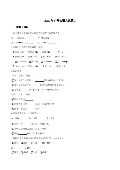 六年级下册语文试题--2020年小升初试题3 部编版(含答案)