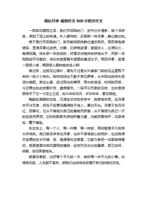 雨后月季-植物作文600字相关作文