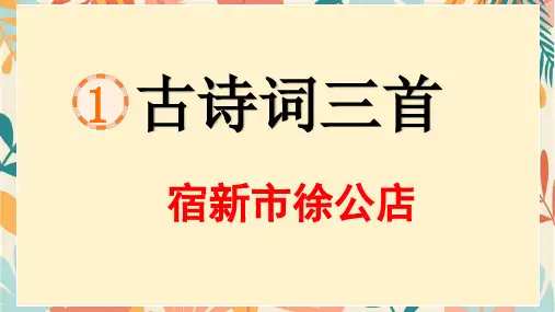 古诗词三首 宿新市徐公店ppt课件