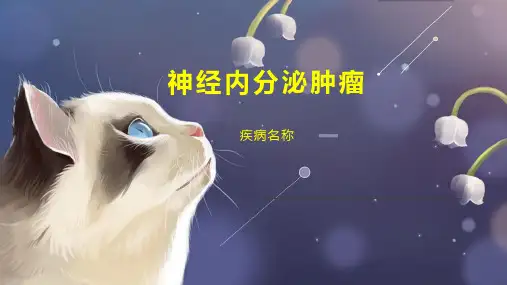 神经内分泌肿瘤