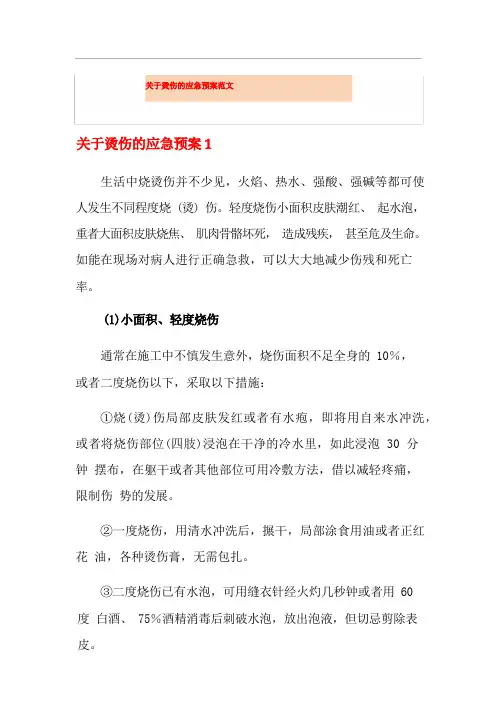 关于烫伤的应急预案范文