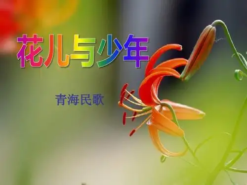 《花儿与少年》PPT课件