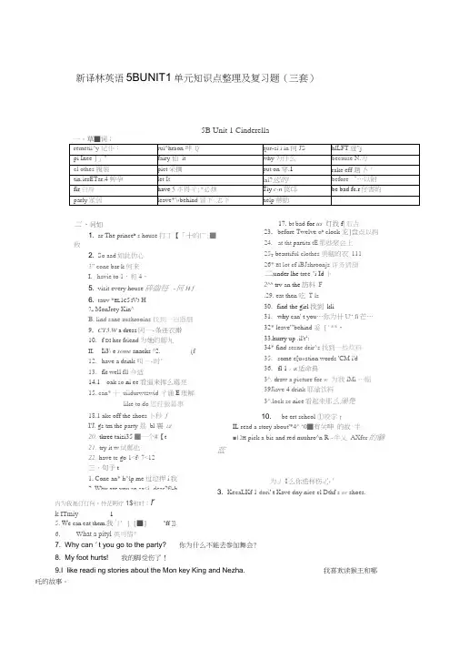 【个人精心制作】新译林小学英语5BUNIT1单元知识点整理及复习题(三套),推荐文档