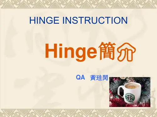 hinge instruction2