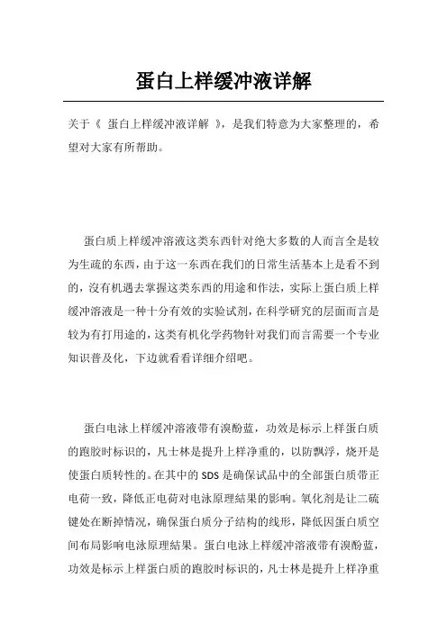 蛋白上样缓冲液详解