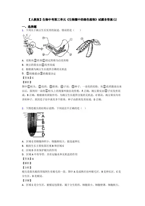 【人教版】生物中考第三单元《生物圈中的绿色植物》试题含答案(1)