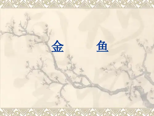 金鱼的养殖