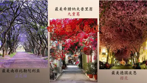 苏教版初中生物八上5.14.1 五彩缤纷的植物世界 课件  (共28张PPT)优秀课件