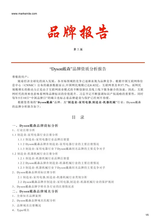 Dyson戴森的品牌资质分析报告