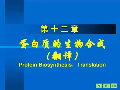 DNA翻译 PPT课件