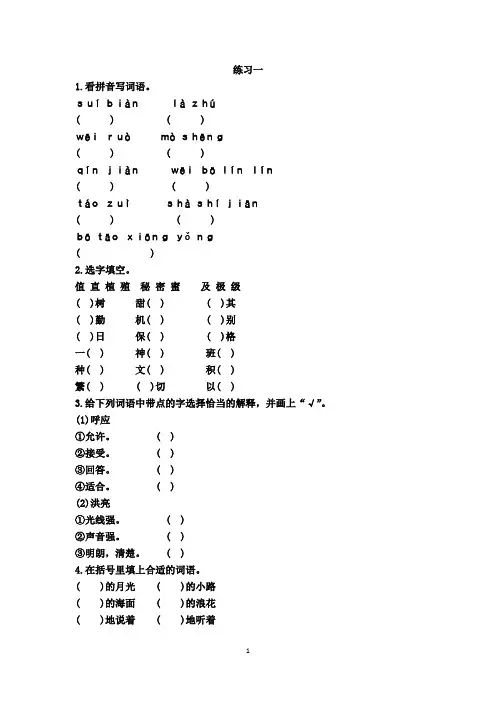 人教版六年级上册语文同步练习(2套)(有答案)  26月光曲