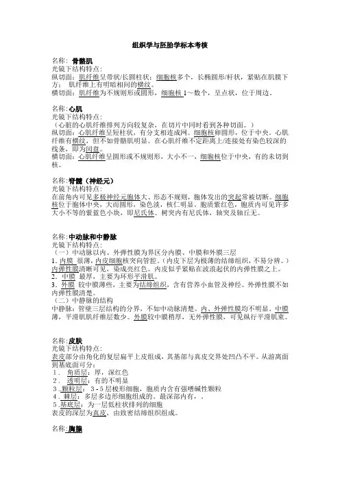 组织与胚胎学切片重点