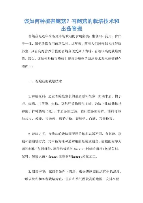 该如何种植杏鲍菇？杏鲍菇的栽培技术和出菇管理