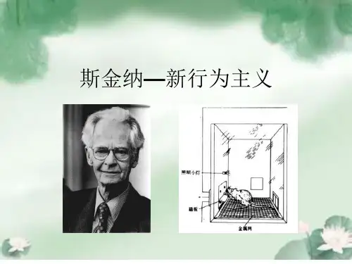 斯金纳课件