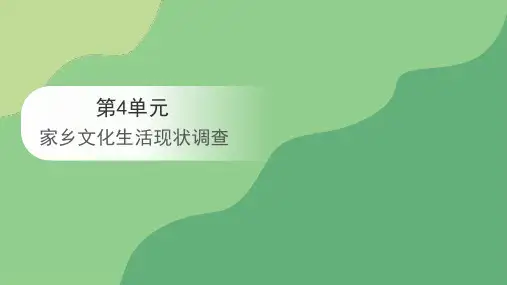 第四单元《家乡文化生活现状调查》课件17张高中语文必修上册