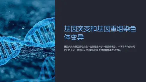 基因突变和基因重组染色体变异