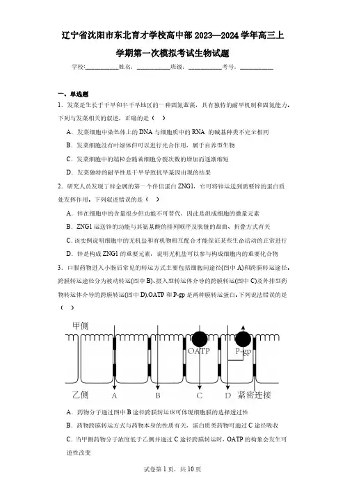 辽宁省沈阳市东北育才学校高中部2023—2024学年高三上学期第一次模拟考试生物试题(含解析)