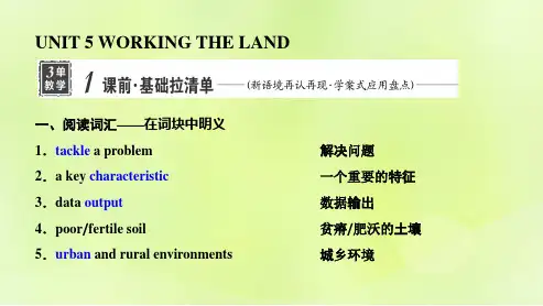 新教材高考英语一轮总复习Unit5WorkingTheLand课件新人教版选择性必修第一册