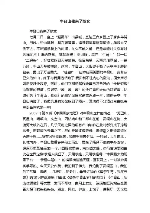牛背山我来了散文