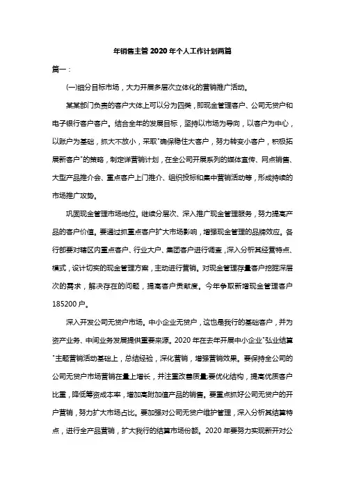年销售主管2020年个人工作计划两篇