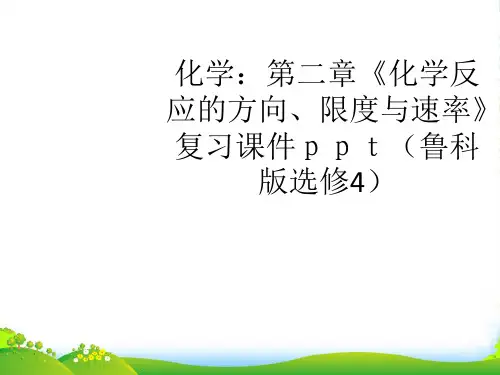 高中化学 第二章《化学反应的方向、限度与速率》复习课件 鲁科选修