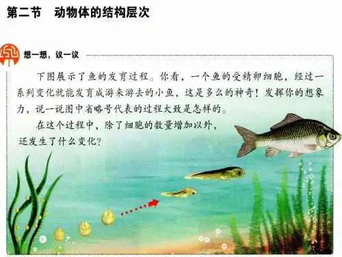 2015-动物体的结构层次-佛山谢永红