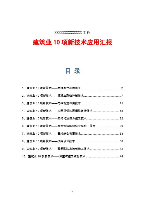 建筑工程十项新技术应用总结
