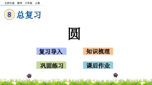 北师大版小学6年级数学上册总复习(圆)PPT教学课件