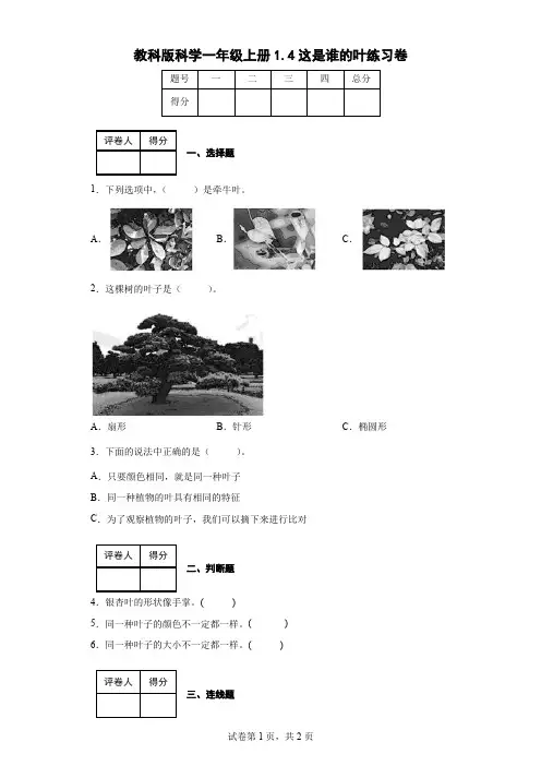 教科版科学一年级上册1.4这是谁的叶练习卷(后附答案)