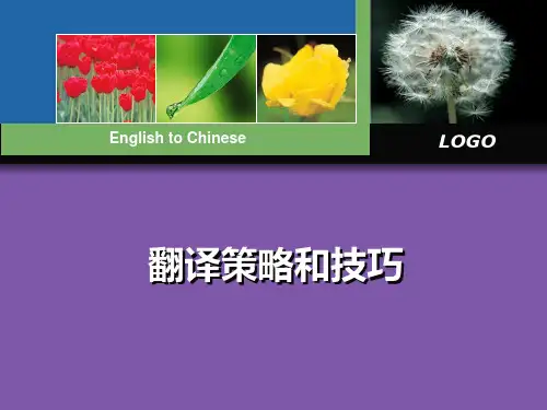 英汉笔译策略和技巧