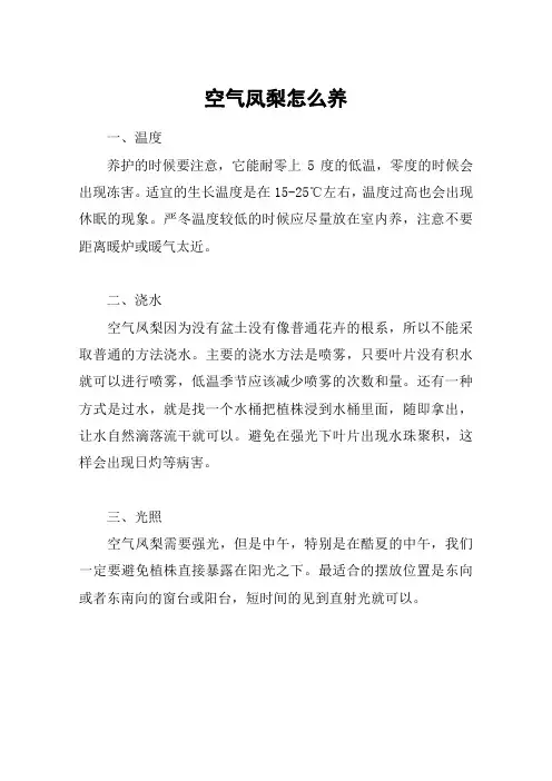 空气凤梨怎么养_1