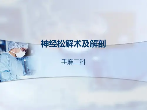 神经松解术及解剖PPT课件