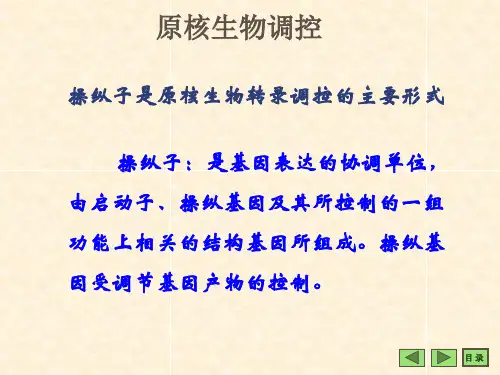 乳糖操纵子lacoperon