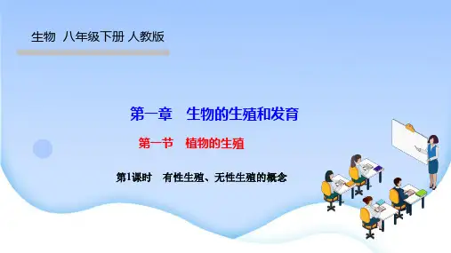 人教版八年级生物下册作业课件 第一章 生物的生殖和发育 第1课时 有性生殖、无性生殖的概念