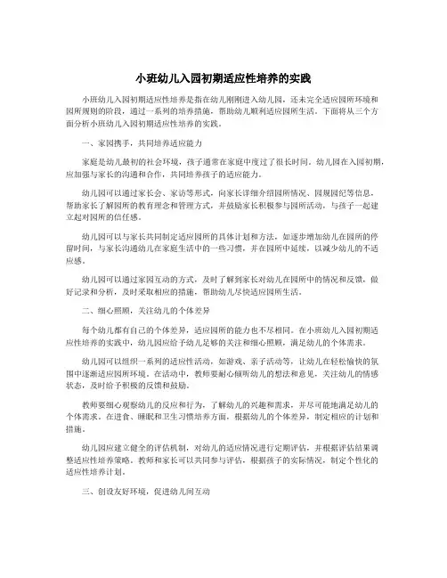 小班幼儿入园初期适应性培养的实践