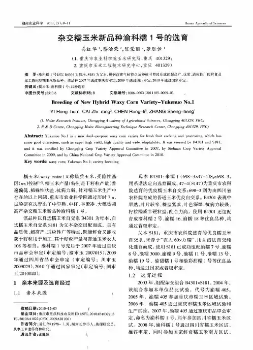 杂交糯玉米新品种渝科糯1号的选育