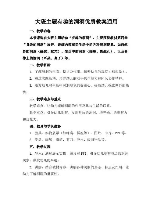 大班主题有趣的洞洞优质教案通用