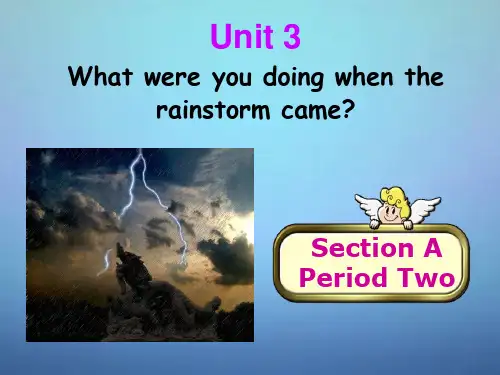 山东省淄博市周村区萌水中学八年级英语上册 Unit 3 What were you doing wh