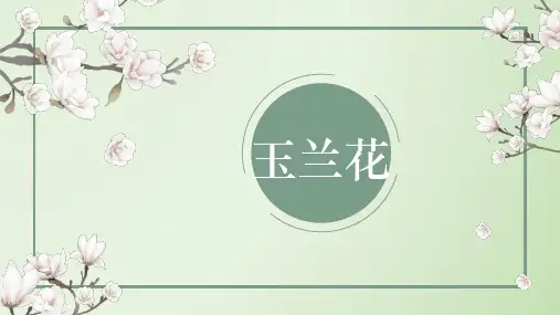 少儿美术画画  美当创想   6岁—7岁   手中的艺术绘画   《玉兰花》