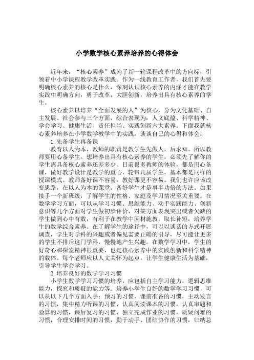 小学数学核心素养培养的心得体会