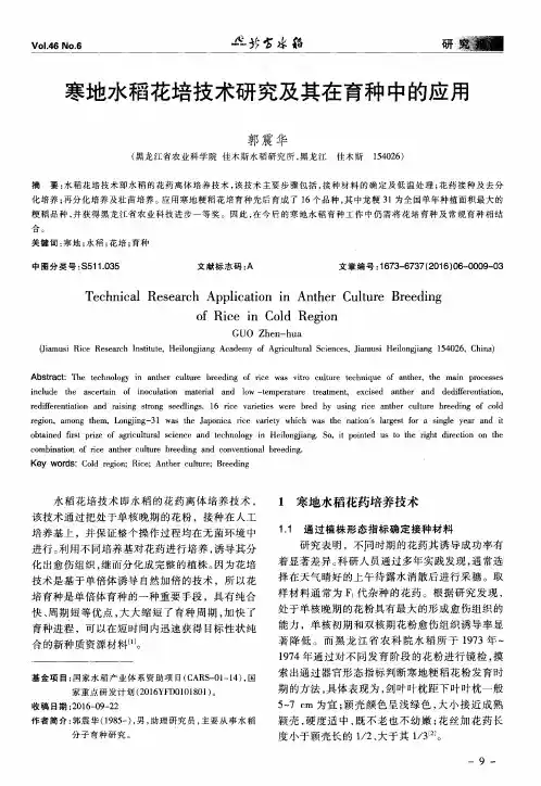 寒地水稻花培技术研究及其在育种中的应用