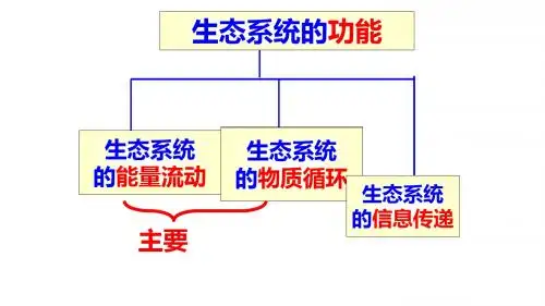 人教版必修3 生物(稳态与环境)：5.3 生态系统的物质循环  课件(共16张PPT)