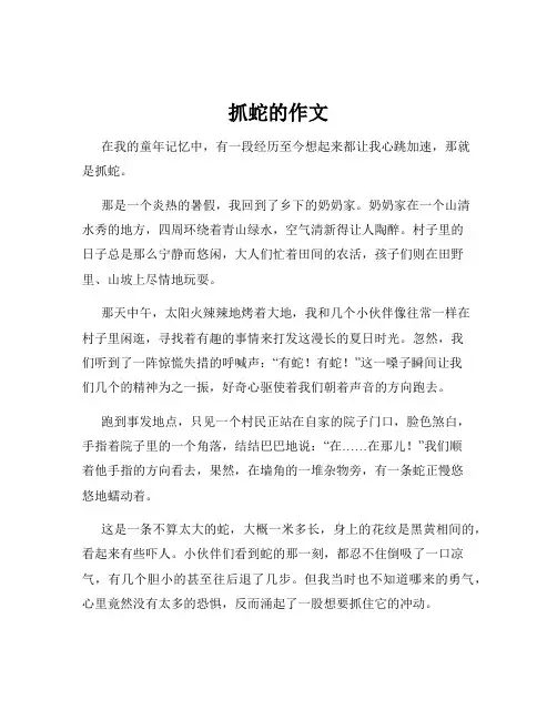 抓蛇的作文