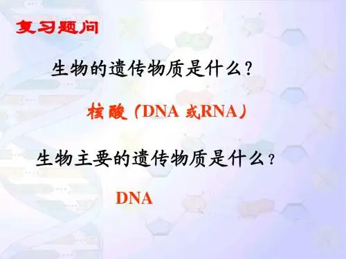 人教版必修2第三章第二节DNA的分子结构和特点(共26张PPT)