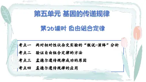 高三生物一轮复习课件第五单元 第26课时 自由组合定律